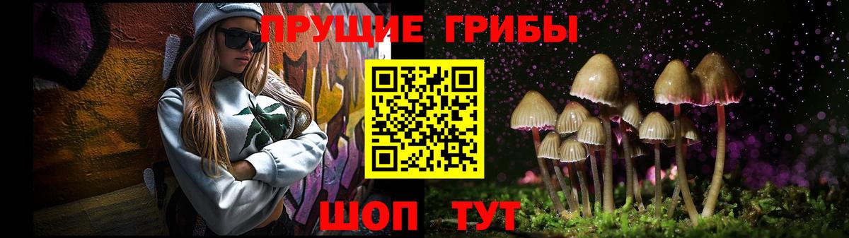 Псилоцибиновые грибы MAGIC MUSHROOMS Богородицк